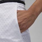 JORDAN DRI-FIT SPORT DIAMOND MEN SHORTS DX1487-100