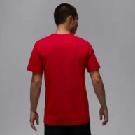 تیشرت مردانه جردن T-Shirt GYM مدل NKHQ0009-687