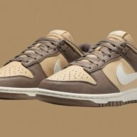 کفش زنانه نایک Dunk Low Next Nature مدل DD1873-201