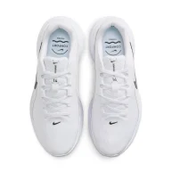 کفش زنانه نایک Nike Downshifter 14 Women’s Road Running Shoe مدل IB1899-101