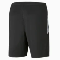 شلوارک مردانه پوما Short Puma Team Liga Training مدل 65724903