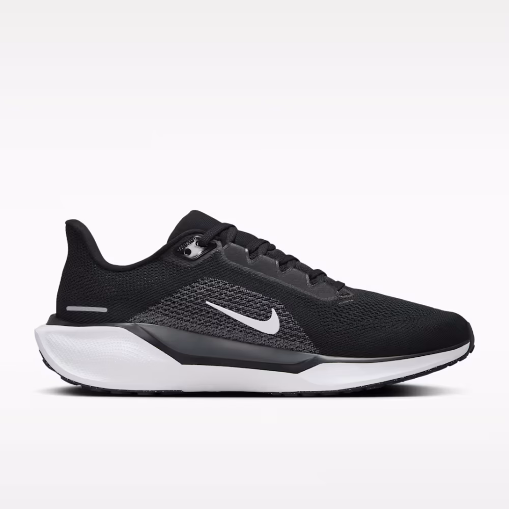 AIR+ZOOM+PEGASUS+41 (2)