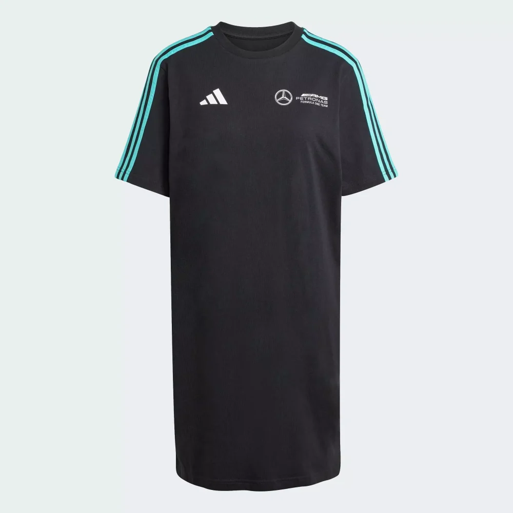 Motorsport_Mercedes_-_AMG_Petronas_Formula_One_Tea